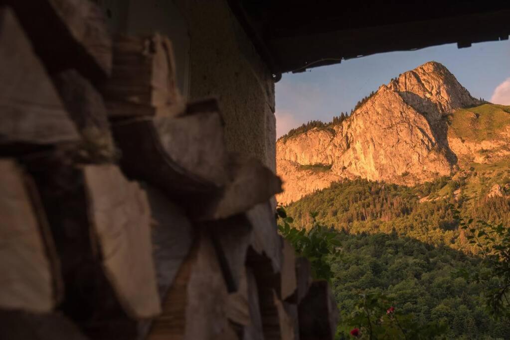 Le Bel Appartement De Montagne Bellevaux Luaran gambar