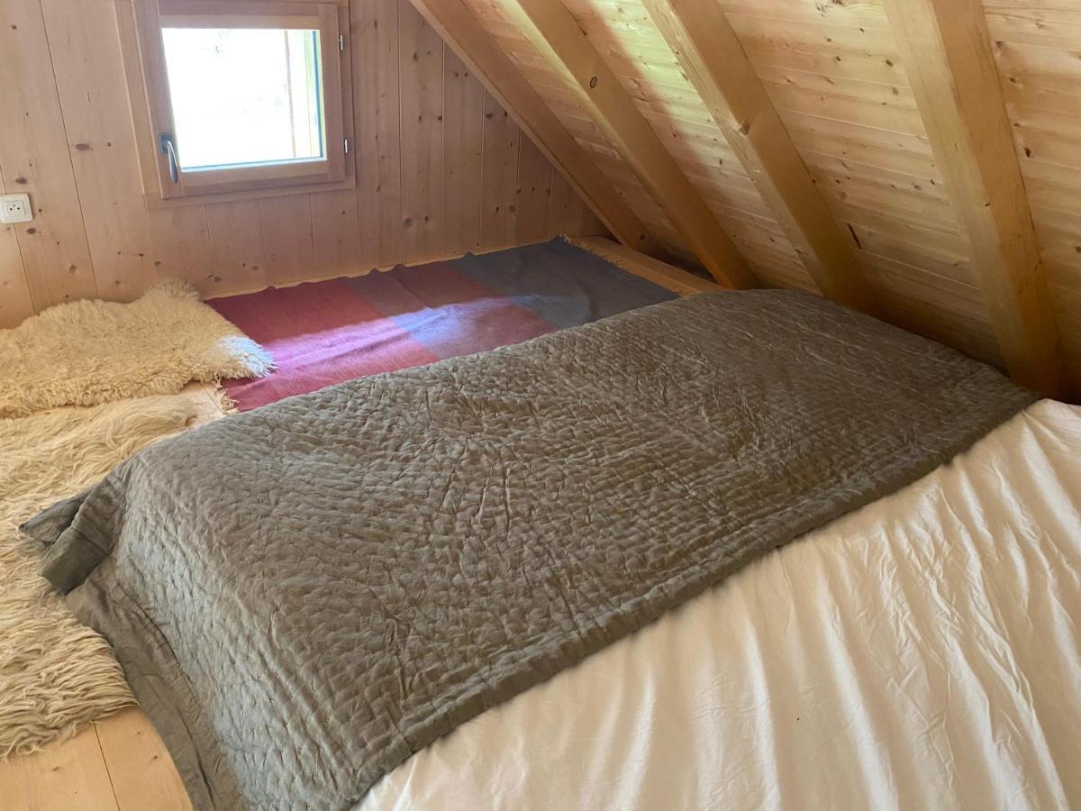 Le Bel Appartement De Montagne Bellevaux Luaran gambar